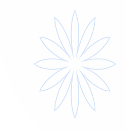 球盟会官方入口 - 中国访问通道
